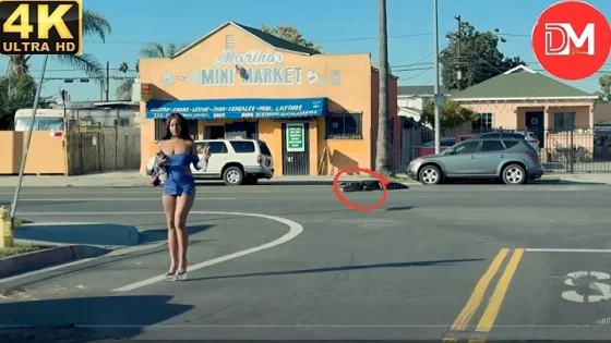 TOTAL IDIOTS AT WORK Instant Regret Fails Compilation 2025 #434 Best Of The Week